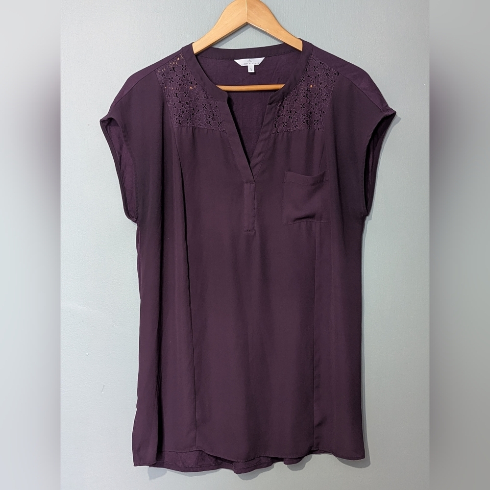 Camber & Grace Wine‎ Purple V-neck Women's Short Sleeve Lace Detail Top